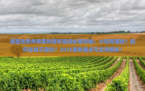 湘西去贵州黄果树瀑布旅游小吃