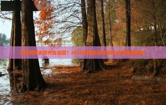 巴音郭楞去贵州自由团