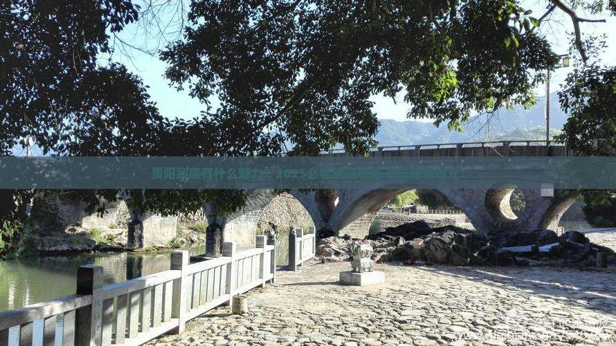 来宾去贵州贵阳旅游
