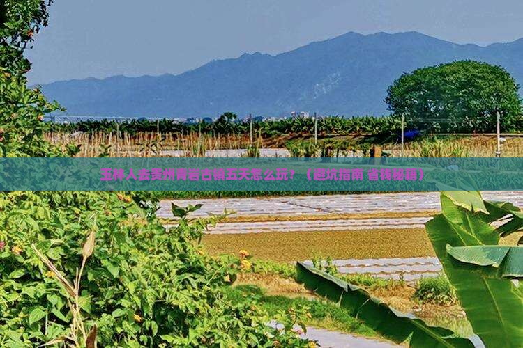 玉林去贵州青岩古镇五日游