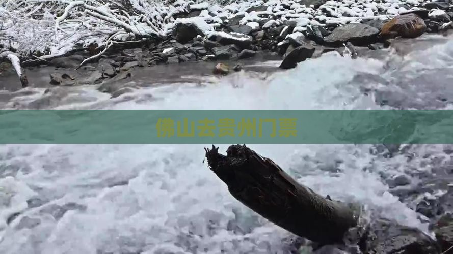 佛山去贵州门票