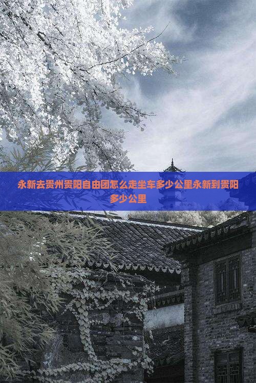 永新去贵州贵阳自由团