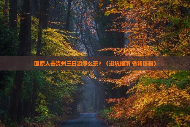 固原去贵州三日游