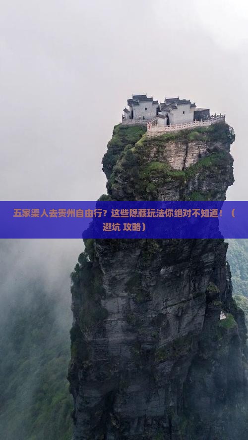 五家渠去贵州自由团