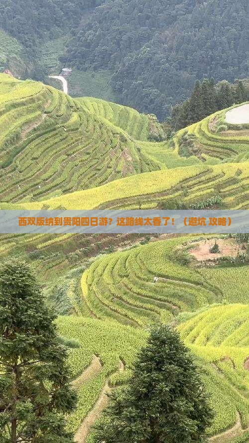西双版纳到贵州贵阳四日游