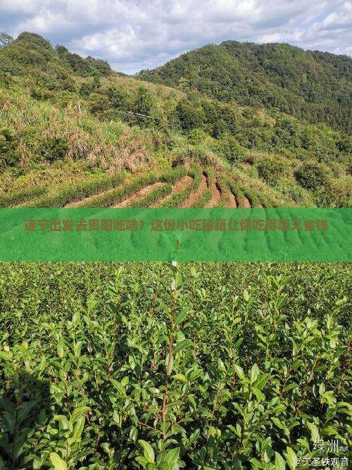 遂宁去贵州贵阳旅游小吃