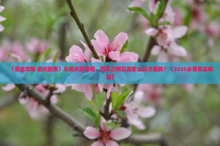衡水去贵州贵阳四日游