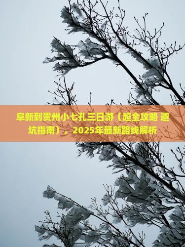 阜新到贵州小七孔三日游