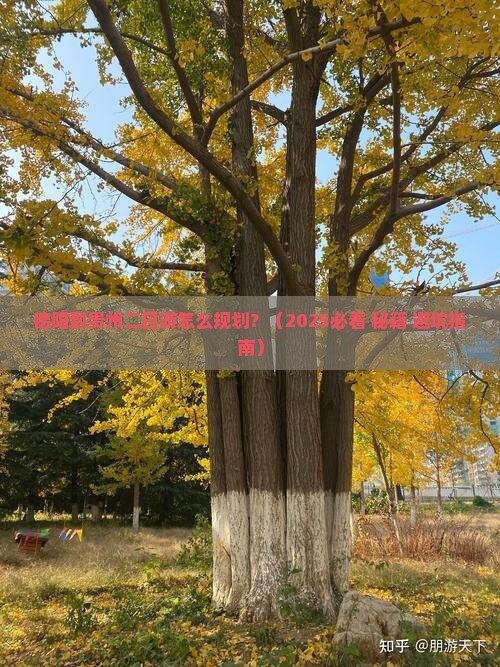 德阳到贵州二日游