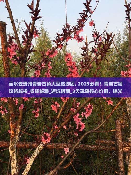 丽水去贵州青岩古镇大型旅游团