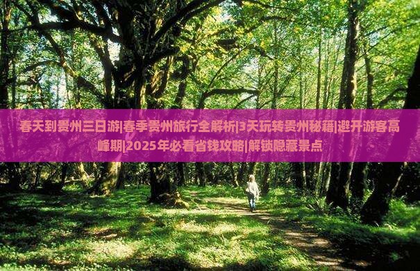 春天到贵州三日游