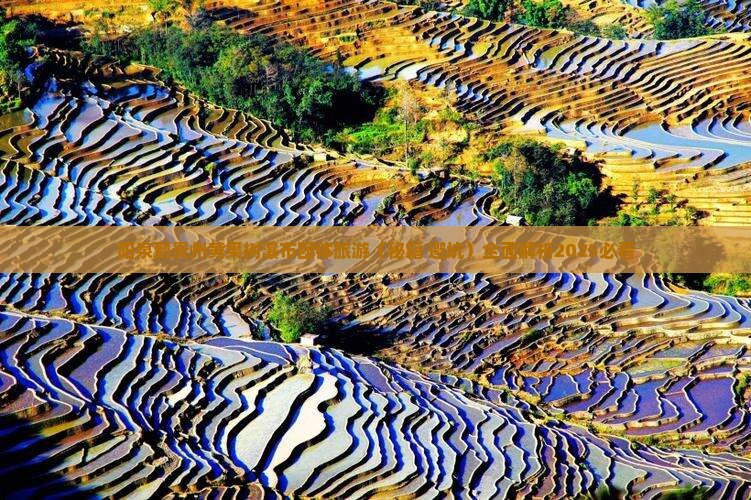 阳泉到贵州黄果树瀑布团体旅游 阳泉到贵州黄果树瀑布团体旅游