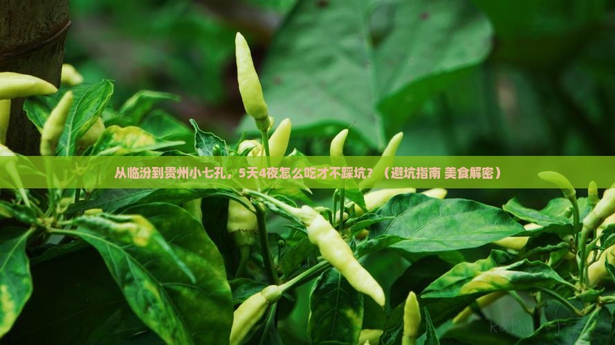 临汾去贵州小七孔旅游小吃