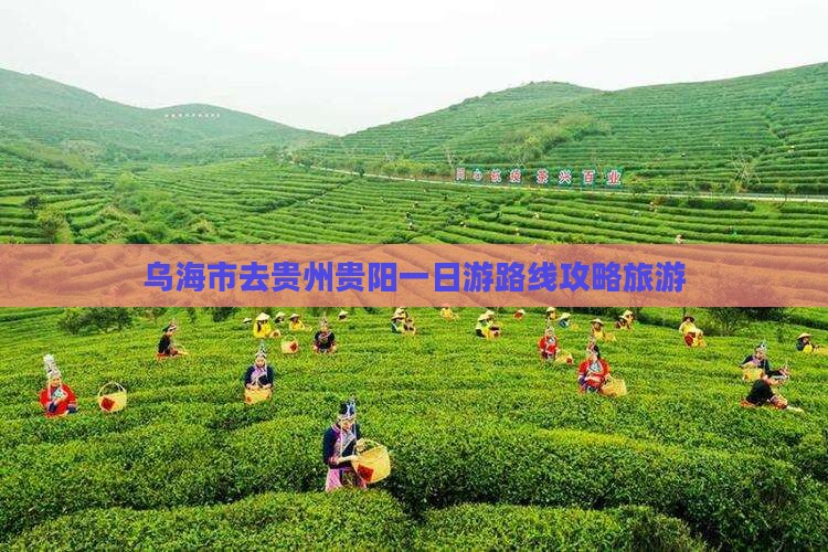 乌海去贵州贵阳一日