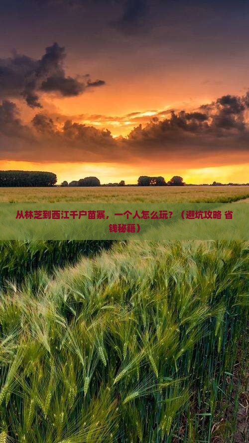 林芝去贵州西江千户苗寨个人游