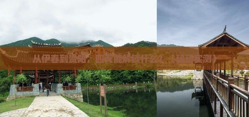 伊春去贵州贵阳四日游