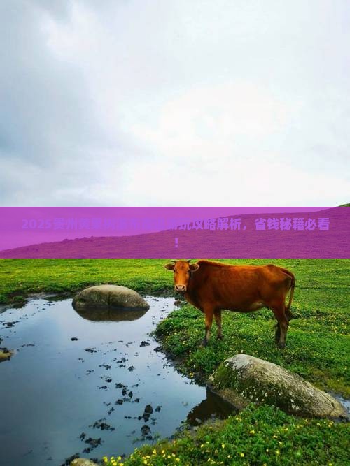 阿里到贵州黄果树瀑布哪里玩