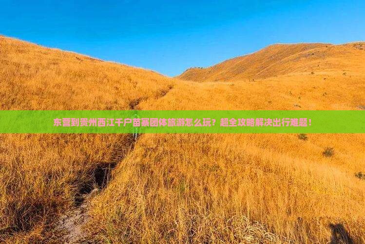东营到贵州西江千户苗寨团体旅游