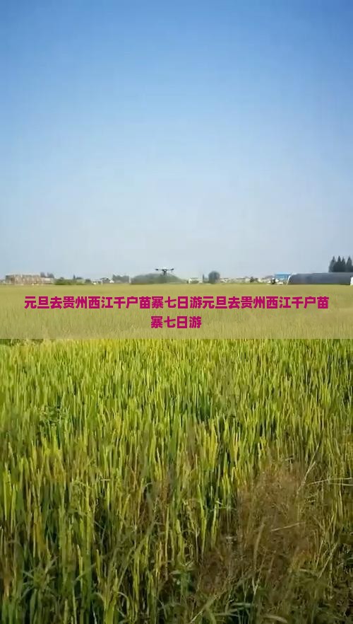 元旦去贵州西江千户苗寨七日游