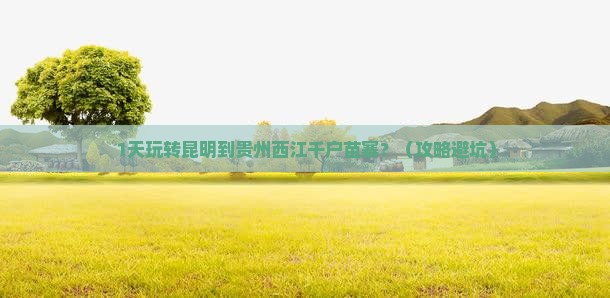 昆明到贵州西江千户苗寨一日