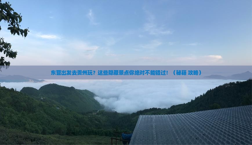 东营到贵州景点