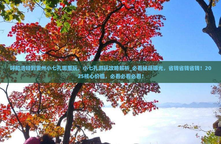 呼和浩特到贵州小七孔哪里玩