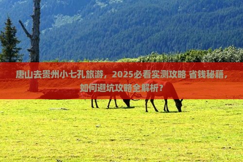 唐山去贵州小七孔旅游