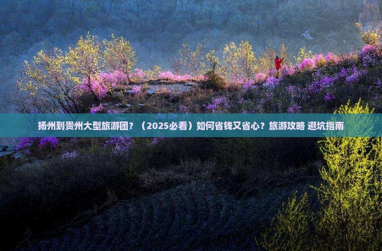 扬州到贵州大型旅游团