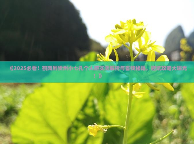 鹤岗到贵州小七孔个人游