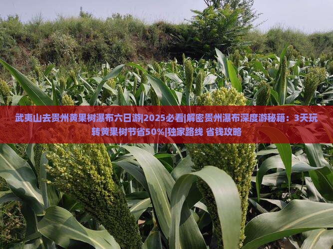 武夷山去贵州黄果树瀑布六日游