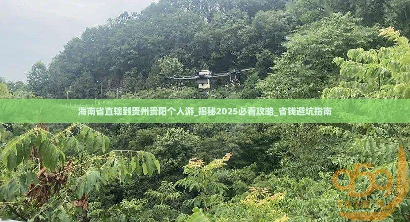 海南省直辖到贵州贵阳个人游
