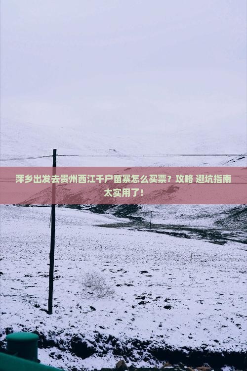 萍乡去贵州西江千户苗寨门票