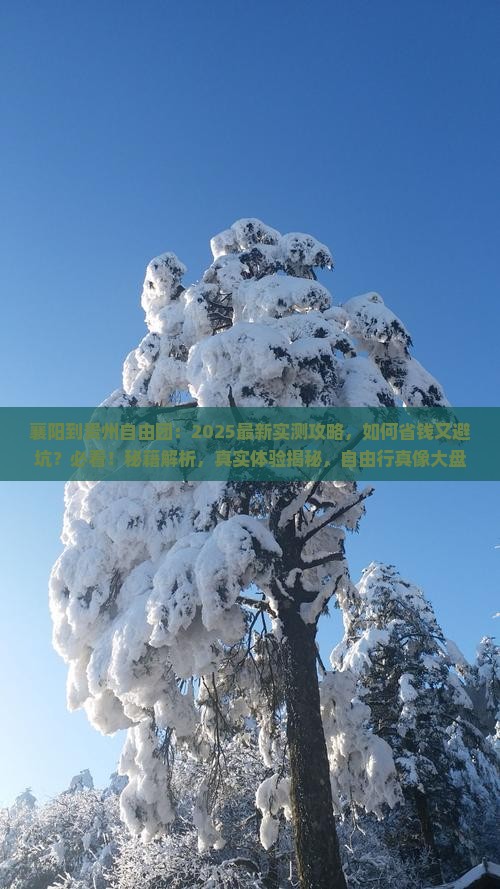 襄阳到贵州自由团