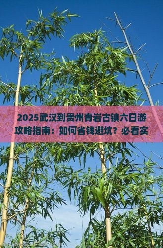 武汉到贵州青岩古镇六日游
