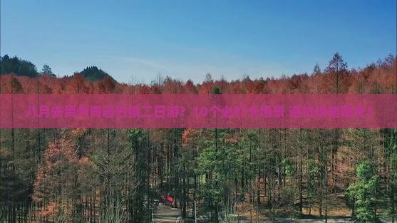 八月去贵州青岩古镇二日游