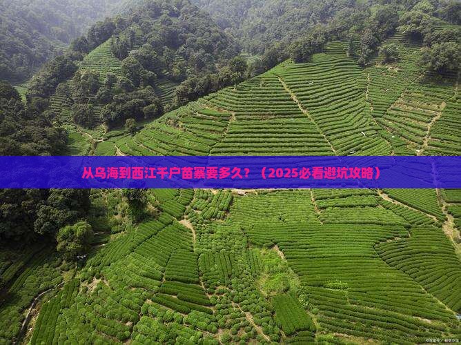 乌海市到贵州西江千户苗寨攻略