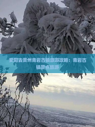 安阳去贵州青岩古镇旅游