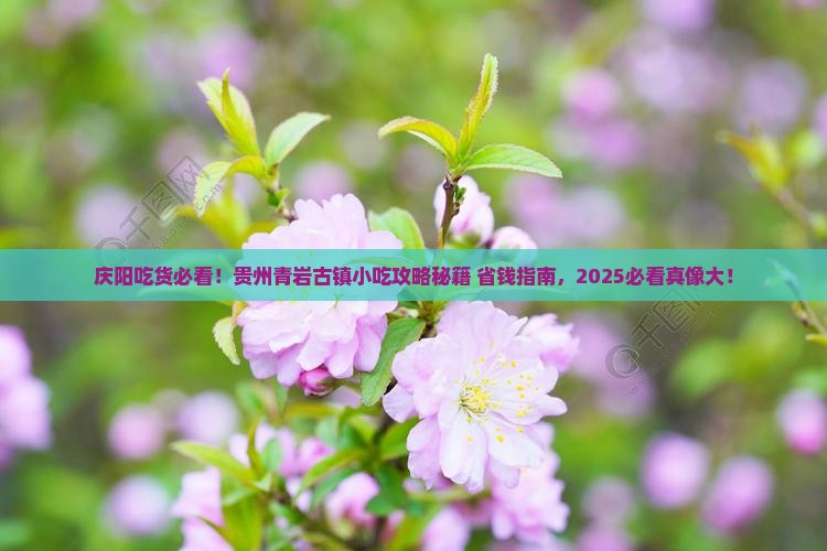 庆阳去贵州青岩古镇旅游小吃