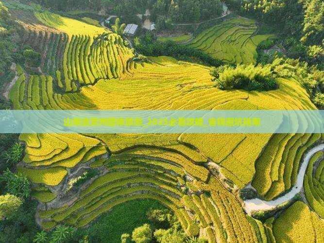 山南去贵州团体旅游