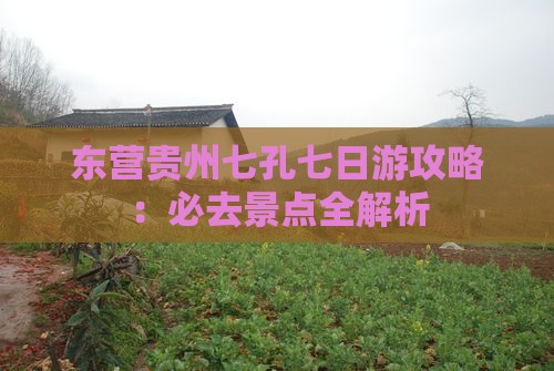东营去贵州小七孔七日游