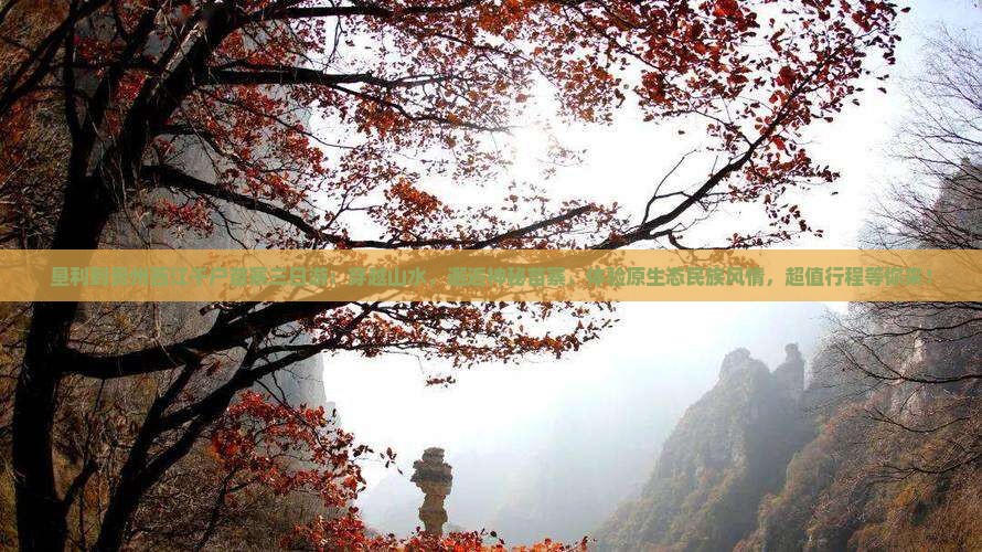 垦利到贵州西江千户苗寨三日游