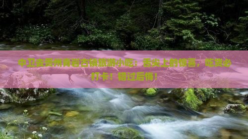 中卫去贵州青岩古镇旅游小吃