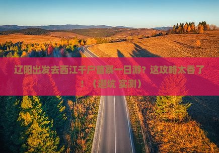 辽阳去贵州西江千户苗寨一日