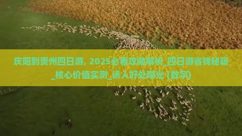 庆阳到贵州四日游