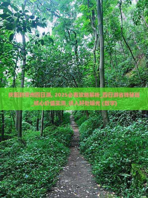 庆阳到贵州四日游