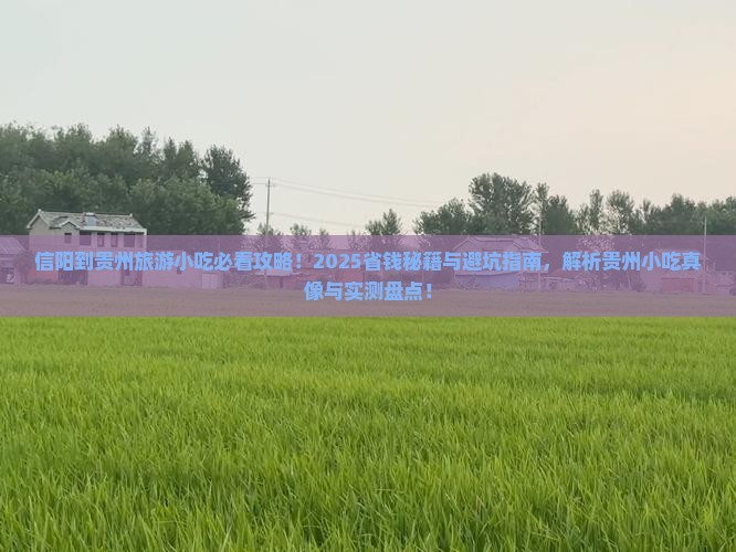 信阳到贵州旅游小吃
