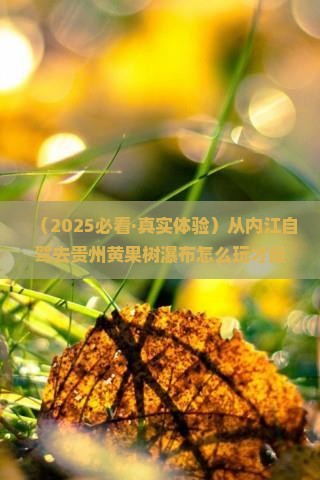 内江到贵州黄果树瀑布旅游