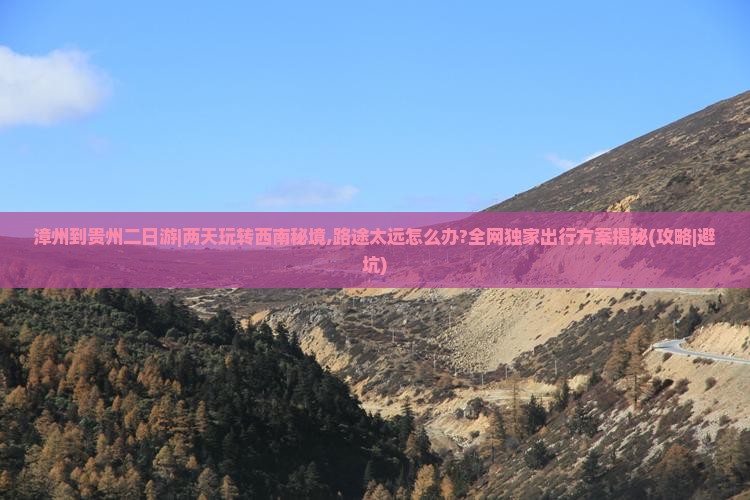 漳州到贵州二日游