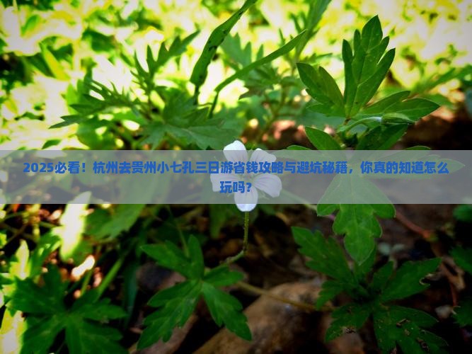 杭州去贵州小七孔三日游