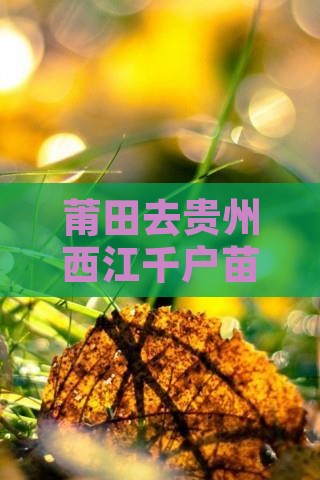 莆田去贵州西江千户苗寨自由团